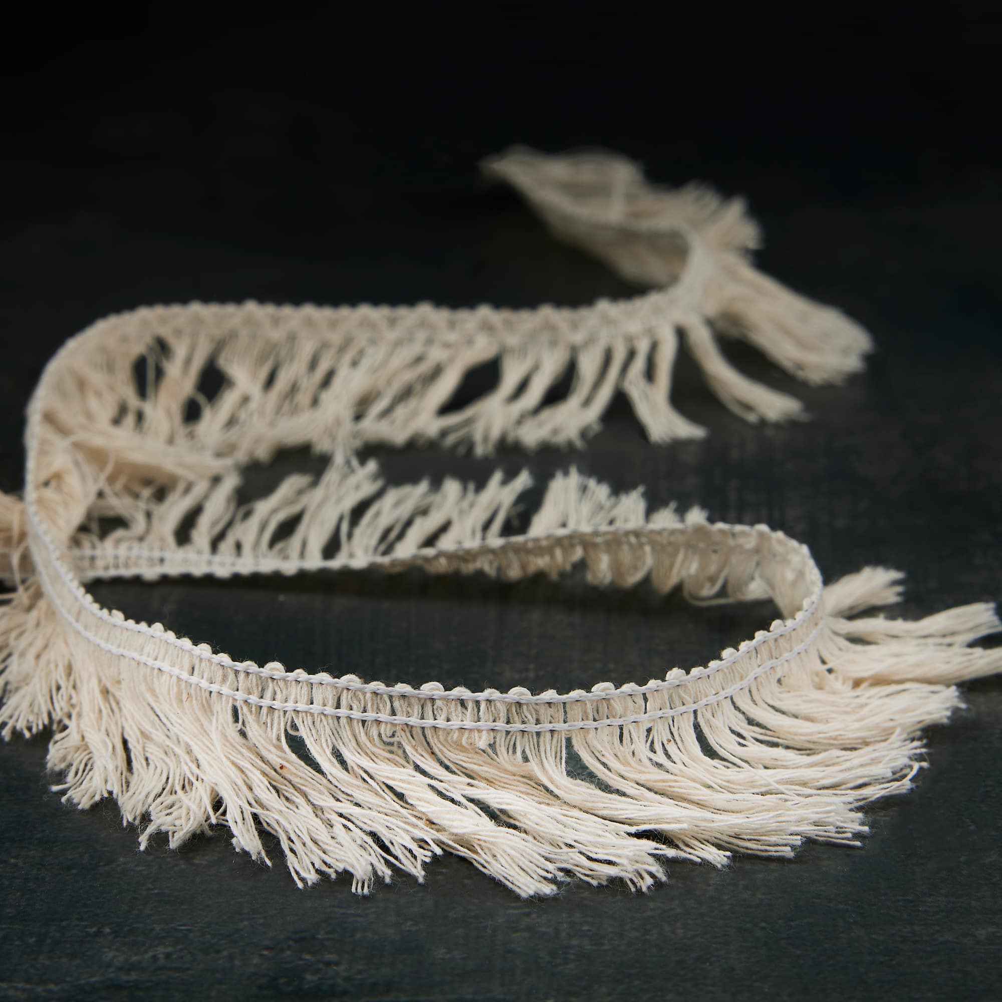 1.5'' x 3yd. Trim Wired Ornamental Fringe Ribbon by Celebrate It®